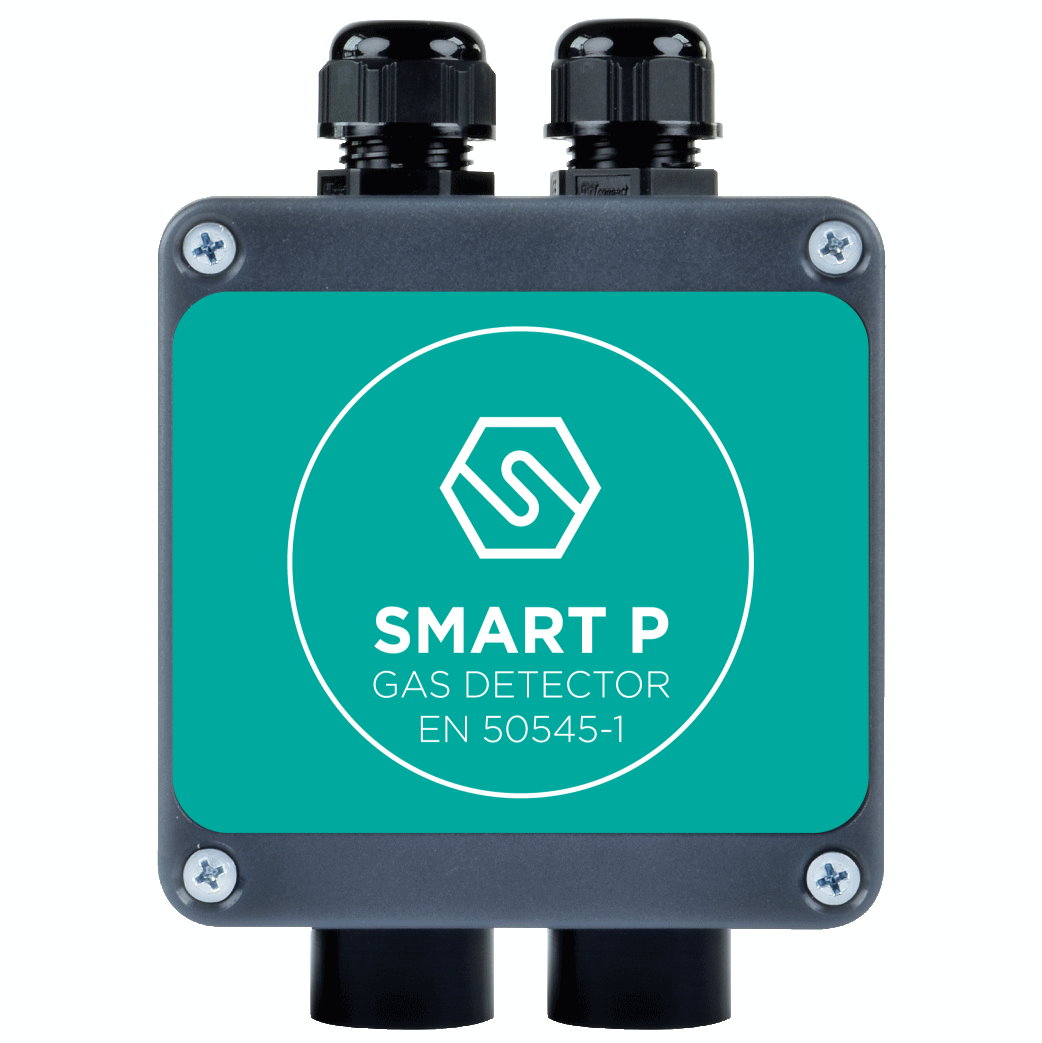 Double détecteur de Gaz SMART P2 Dual Gas detector