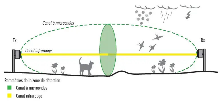 MIB-B50 - Détecteur Double Technologie 50m Bi-statique 24,15 GHz & Infrarouge - FORTEZA